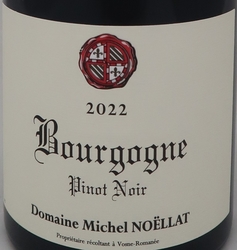 BOURGOGNE PINOT NOIR 2022